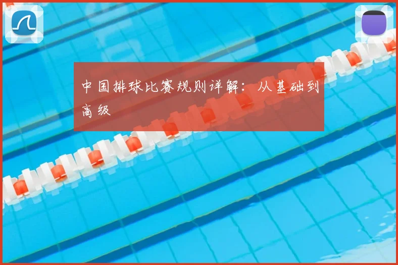 中国排球比赛规则详解:从基础到高级